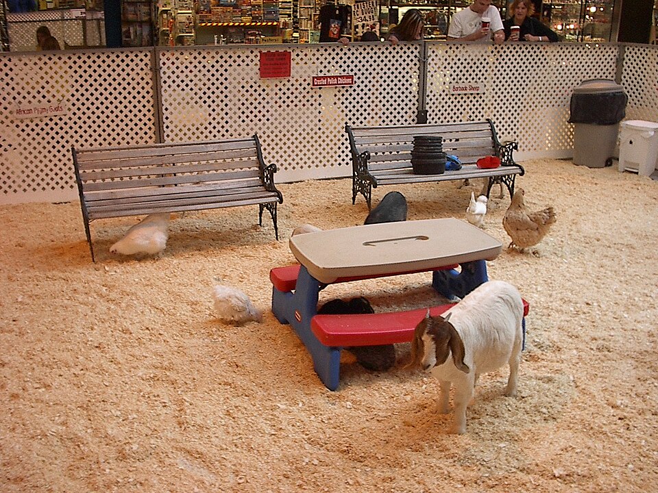 Kinderboerderij Dorpsweide