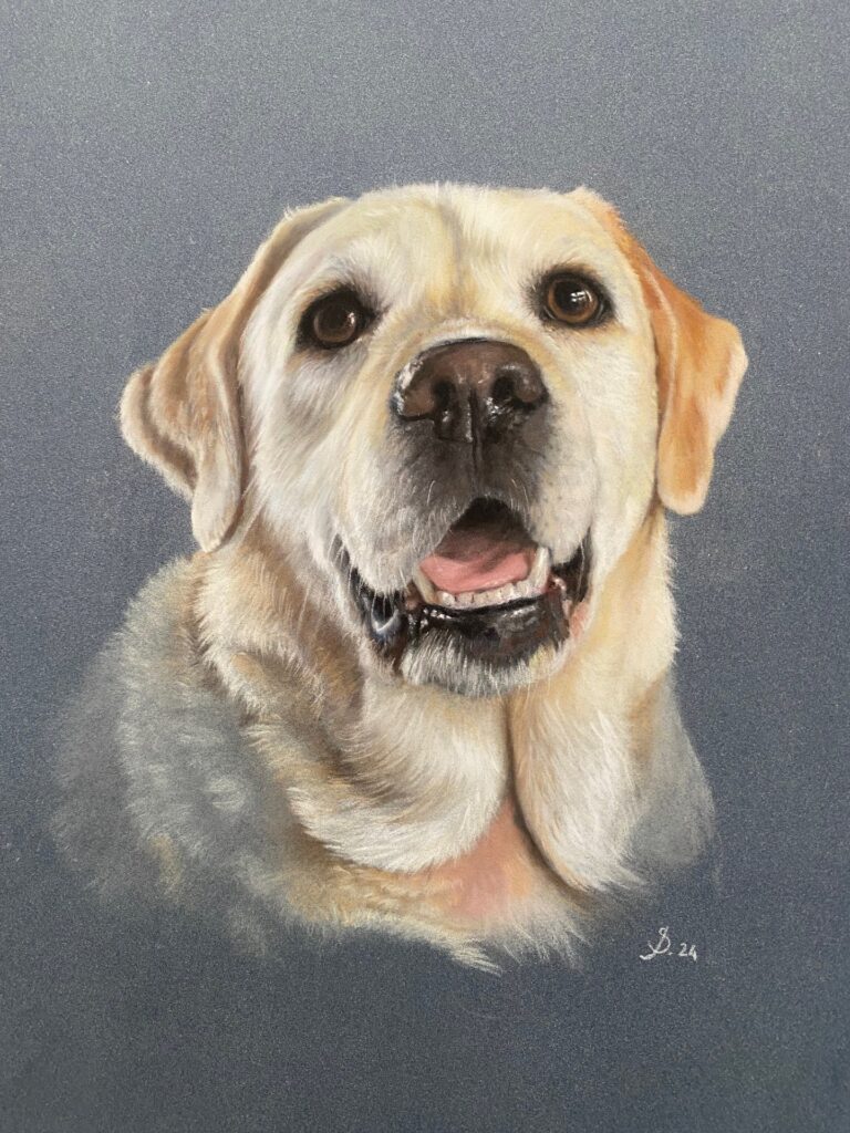 Expositie Lief Dier — museum-expo in Katwijk
