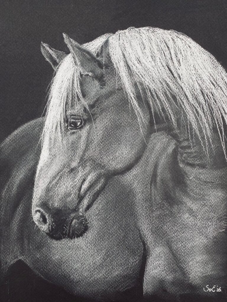 Expositie Lief Dier — museum-expo in Katwijk